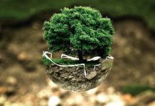 EU predlaže novi klimatski cilj za 2040 formiranjem prostora za uvođenje kredita za ugljenik konkursi za zamenu kotlova