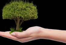 Srbija jača saradnju sa Zelenim klimatskim fondom