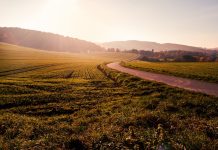 Sproveden digitalni popis poljoprivrednog zemljišta u državnom vlasništvu bespovratna sredstva za razvoj nedovoljno razvijenih opština