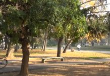 Radnici administracije leskovačkog „Komunalca“ čistili park
