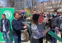 Građanima Pirota podeljeno stotinu sadnica belog jasena Podela besplatnih sadnica