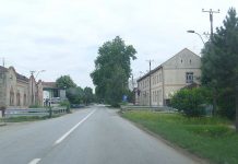 Opština Mali Iđoš sprovodi kontinuirane edukacije za razvijanje ekološke svesti građana