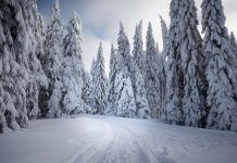 Skijaška sezona u Srbiji: idealni uslovi sada, veštački sneg ključ budućnosti nacionalni parkovi u Srbiji