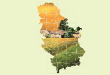 RZS objavio publikaciju „Opštine i regioni u Republici Srbiji, 2021“ statistički kalendar Republike Srbije