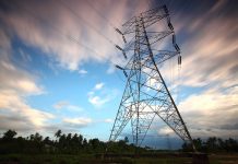 Subvencije za prozjumere: Gradovi i opštine raspisuju pozive u aprilu, građani na red dolaze tokom leta