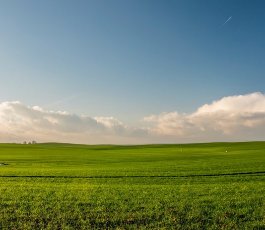 Kreditna podrška poljoprivrednicima: otvoren prvi javni poziv, prijave preko banaka do 30. juna registar investicijskih lokacija