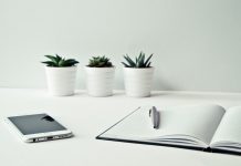 PKS: Jedinstveno tržište rada za građane Srbije, Severne Makedonije i Albanije jedinstveno tržište rada