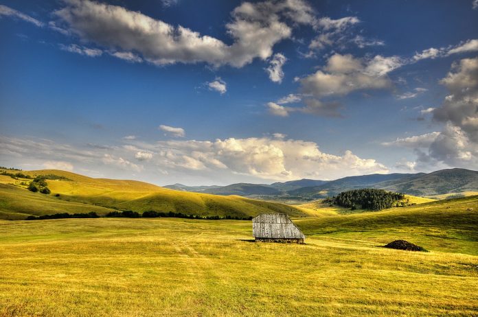 zlatibor