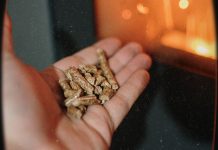 Veća upotreba biomase u Srbiji kroz programe EU biomasa