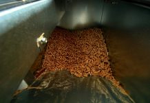 Pirot: U objektima pod ingerencijom grada uskoro samo upotreba ekoloških energenata ekološki energenti