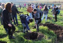 Srbobran: Pretvaranje deponije u šumu
