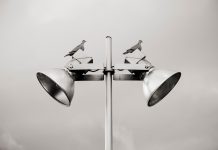 Pirot: Štedljivom rasvetom do uštede 80 miliona dinara