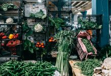 UNDP: Konkurs za bolje upravljanje biootpadom