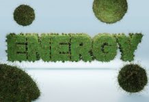 Majdanpek: Izgradnja toplane na biomasu