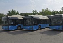 Novi Sad: Električni autobusi za bolji javni prevoz