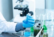 UNDP: Rekonstrukcija laboratorija u Beogradu, Nišu i Kragujevcu