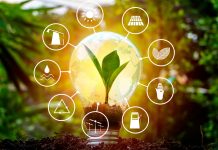 Izabrano deset gradova i opština koje će se grejati na obnovljive izvore energije Obnovljivi izvori energije