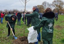 Zrenjanin: Posađeno 2.000 stabala na izletištu „Motel“