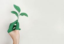 SKGO: Novi ciklus konkursa „Ekoopština“