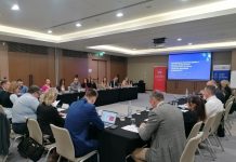 NALED: Više od 2.100 zahteva za konverziju