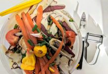 Pirot: Modernizacija Regionalnog centra za upravljanje otpadom