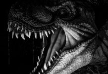 Teen rex – tiranosaurus adolescent otkopan u Severnoj Dakoti trex