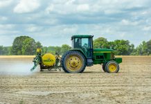 Manjak projekata – velika šteta