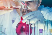 Škole iz gradova Srbije osvojile nagrade na Festivalu nauke u Beogradu festival-nauke