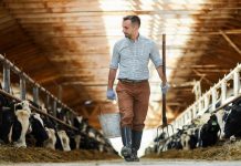 Podsticaji za stočare: od petka isplata dodatnih sredstava