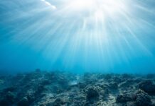 Okeani ne smeju postati „Divlji zapad“, potrebne hitne mere zaštite