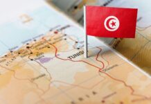 Srbija i Tunis jačaju ekonomske veze: Poljoprivreda, energetika i IT sektor u fokusu saradnje