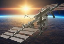 Posle 9 meseci svemira, mahovina normalno klija