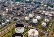 UNDP: biometan je prilika da Srbija poveća energetsku sigurnost i smanji uvoz gasa