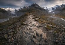 U Italiji otkrivene hiljade otisaka dinosaurusa starih oko 210 miliona godina