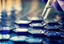 Dodeljena nacionalna priznanja „Za žene u nauci“