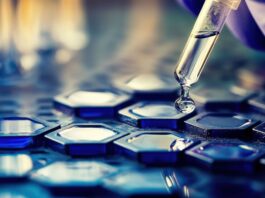 Može li ćelija da se „podmladi”: prvi test na ljudima otvara veliko pitanje medicine dugovečnosti