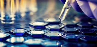 Može li ćelija da se „podmladi”: prvi test na ljudima otvara veliko pitanje medicine dugovečnosti