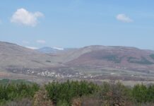 Odorovsko polje kod Dimitrovgrada ulazi u postupak zaštite